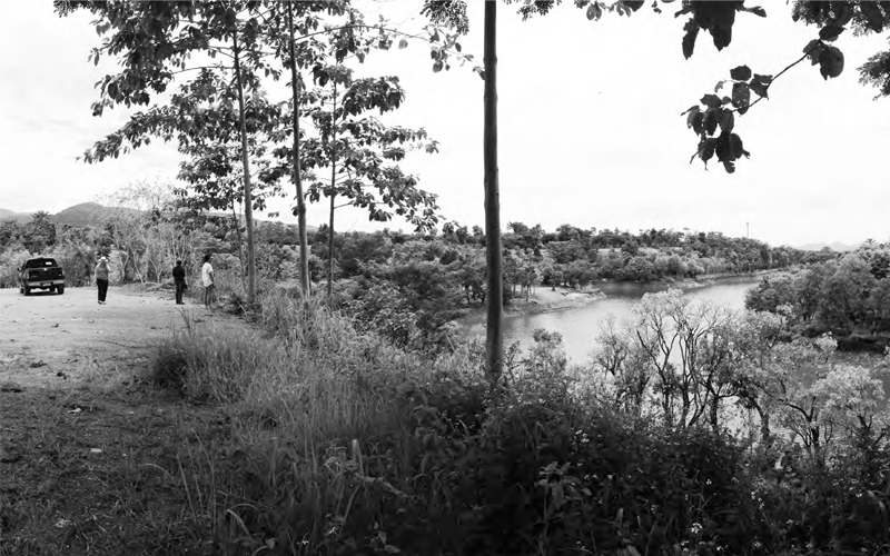 Site photographs